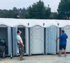 Best Portable Toilets with Baby Changing Stations  in Palos Heights, IL